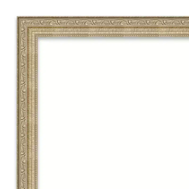 Amanti Art Paris Champagne Miroir de porte sans biseau, miroir mural pleine longueur 50,25 po x 16,25 po.