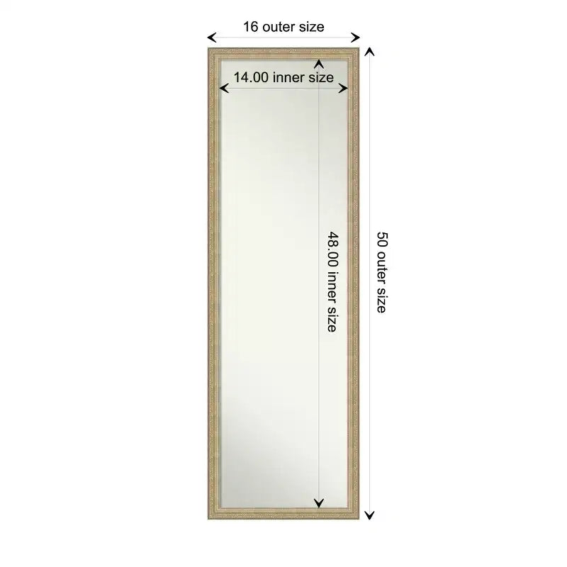 Amanti Art Paris Champagne Miroir de porte sans biseau, miroir mural pleine longueur 50,25 po x 16,25 po.