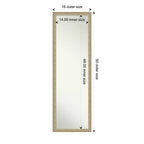 Amanti Art Paris Champagne Miroir de porte sans biseau, miroir mural pleine longueur 50,25 po x 16,25 po.