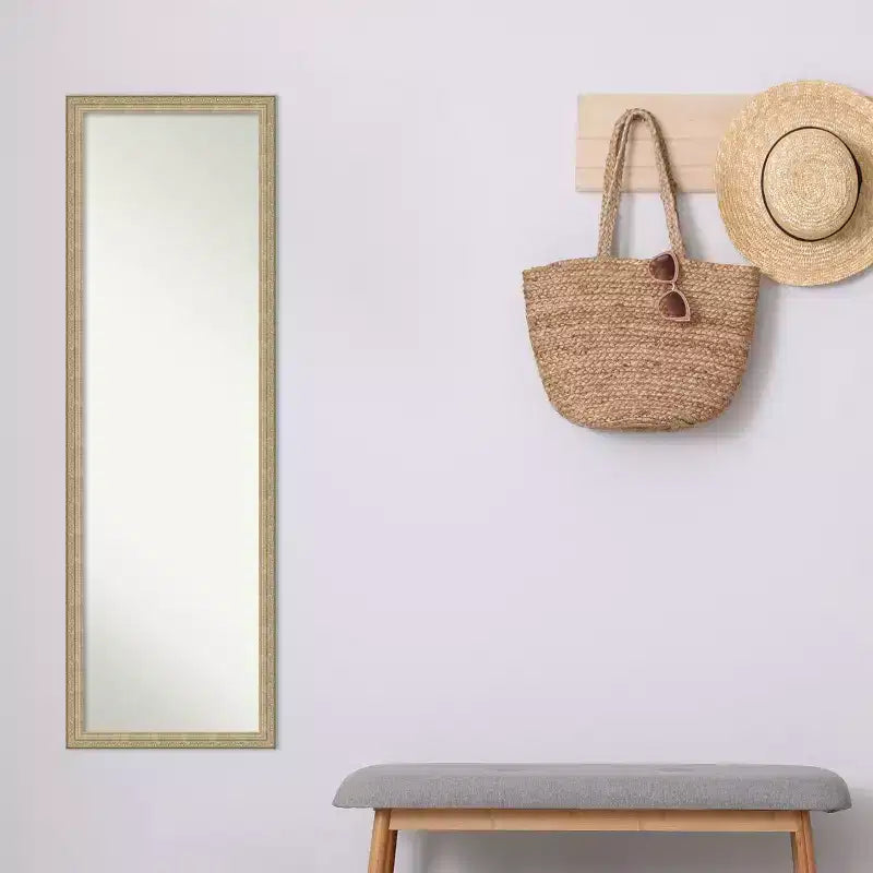 Amanti Art Paris Champagne Miroir de porte sans biseau, miroir mural pleine longueur 50,25 po x 16,25 po.