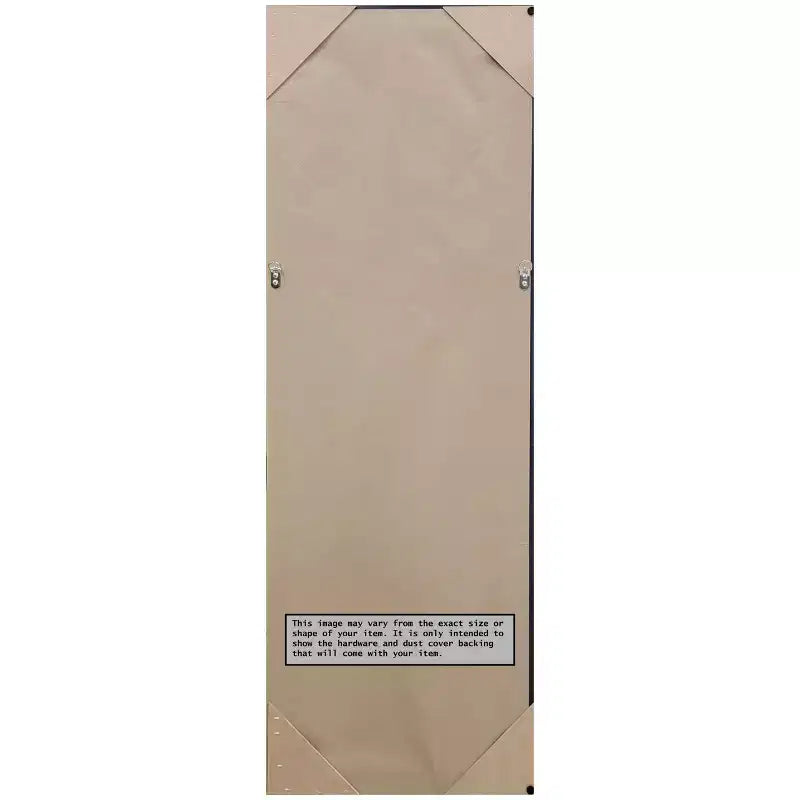 Amanti Art Paris Champagne Miroir de porte sans biseau, miroir mural pleine longueur 50,25 po x 16,25 po.